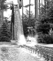 Policy Pond Log Flume What is the main physical concept that keeps the log flume moving?