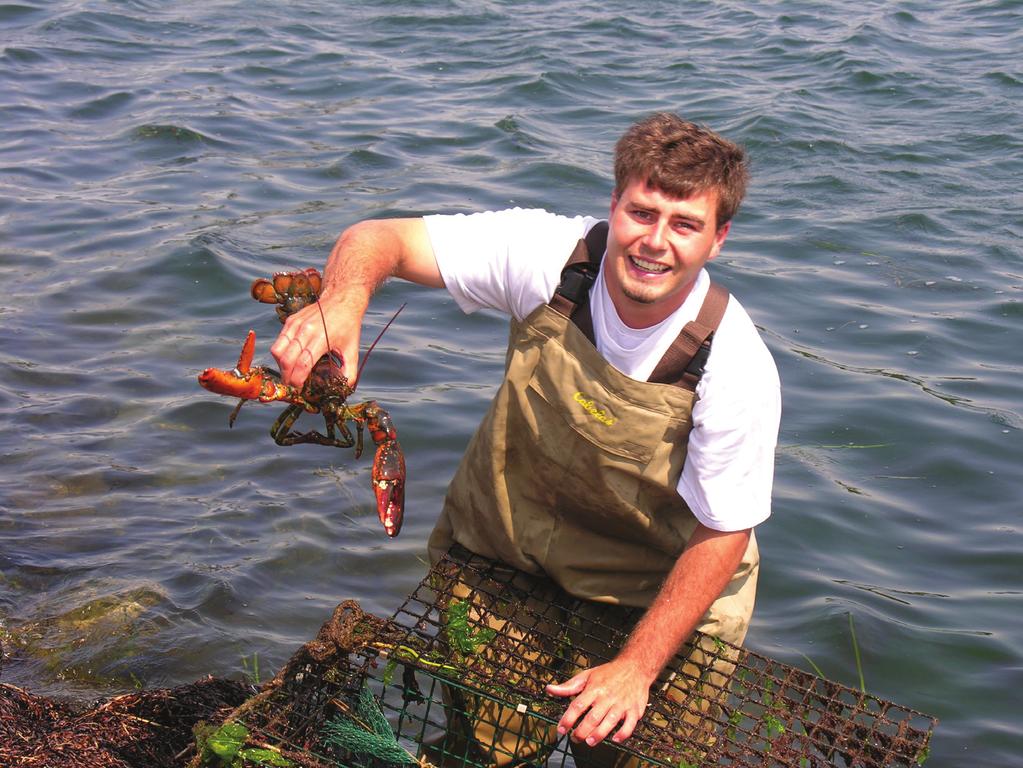 12 Dredging up the past Photo by Kevin Burke Jonathan Dumais, Cape Cod Canal, catches a lobster to use for his presentation at the Cape Cod Canal Visitor's Center in this Aug.