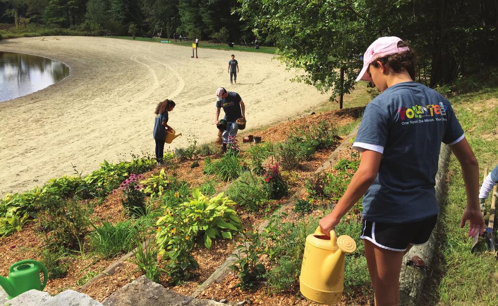 8 Volunteers plant and cultivate new vegetation around West Hill Dam in Massachusetts.