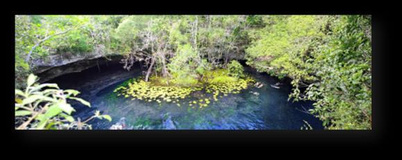 Xenotes Tour With the Xenotes Oasis Maya Tour, you will visit four types of cenotes, located on