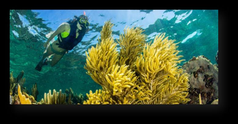 Snorkel Adventure Would like to live a day full of adventure and discover the natural beauty