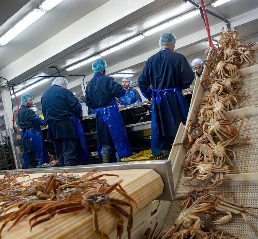SEAFOOD PROCESSING AND MANUFACTURING Victoria County is home to a significant number of seafood processing and manufacturing operations that include: Aspy Bay Fisheries Bounty Bay Shellfish Inc.