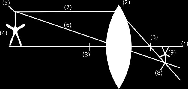 Za vse ostale točke predmeta lahko naredimo isto in ugotovimo, da se vselej sekajo v isti ravnini (9). Tam nastane ostra slika predmeta.
