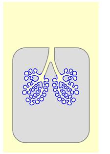 77 NAUČILI SMO SE Dihala oskrbujejo telo s kisikom. Poleg tega se preko dihal iz telesa izloči ogljikov dioksid, ki nastaja pri celičnem dihanju in je za celice strupen.