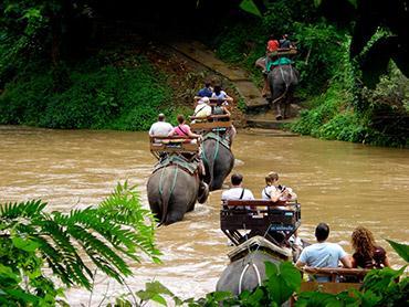 3. Chiang Mai Tour: T112 Safari (08.00 a.m. 04.00 p.m.) The tour will take you to adventure the nature trails on the back of elephants.