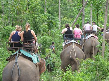 Chiang Mai Trekking Tours 1.Chiang Mai Tour: T118 Trekking 1 day (Sanpathong) Adventure one full day trekking in Sanpathong area by taking elephant riding into the forest.