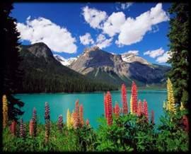 with breathtaking scenery highlight this Canadian Rockies tour.