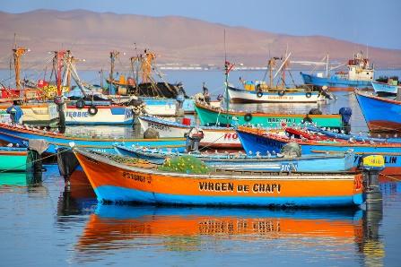 Day 3: 8 June 2018 (Friday) Paracas In the morning, a transfer in the mini-van is provided to coastal Paraces. Enjoy the 3-4 hours journey with the scenery of Peru its country side.