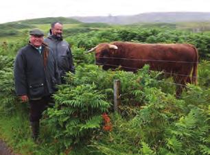 I visited two well-known breeders, Tom Nelson of Glengorm and Iain Mackay of Torloisk to discuss how they approach their grassland management and the challenges they face as they try and improve