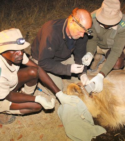 Research Centre is making a difference to conservation not only in Namibia but also throughout Africa.