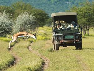 neighbouring Etosha National Park to view the astonishing variety