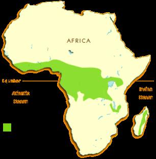 Located along the central coast of Africa, near the Equator. It lies in the Congo River Basin.
