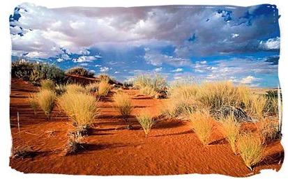 Kalahari Desert Largest Desert in