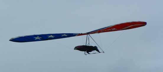 Hang Gliding & Paragliding Forms of aviation