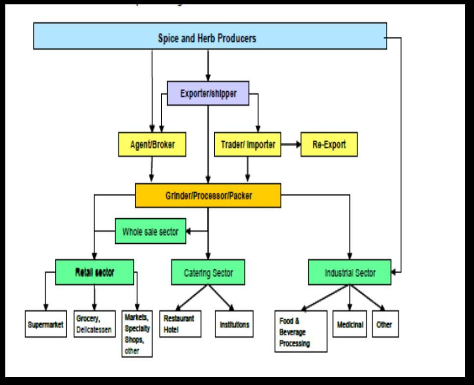 3. POST PRODUCTION PROCESS Figure 41: Value Chain for herbs and spice distribution Douglas et al, 25 The distribution structure in the spice and herb trade can be divided into lines of supply to the