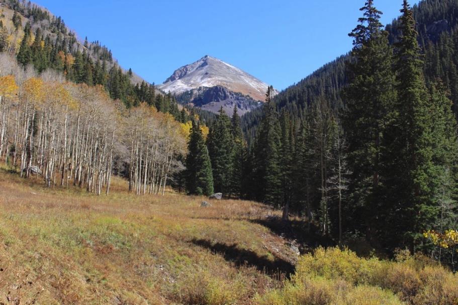 Bear Creek Addition to Uncompahgre Wilderness Proposed Wilderness Designation Uncompahgre National Forest Ouray Ranger District 6,000 acres General Description The Bear Creek addition to the