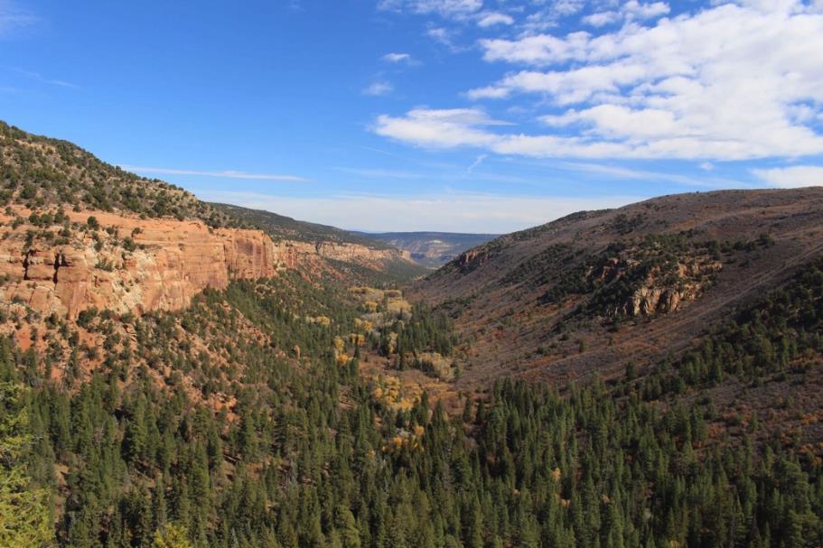 Kelso Mesa Recommended Wilderness Proposed Wilderness Designation Uncompahgre National Forest Grand Valley Ranger District 36,000 acres General Description Kelso Mesa is the largest roadless area on