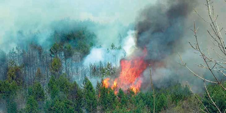 Заштитa шумa од пожара апел У току је критични период појаве шумских пожара, који представљају највеће непријатеље наших шума.