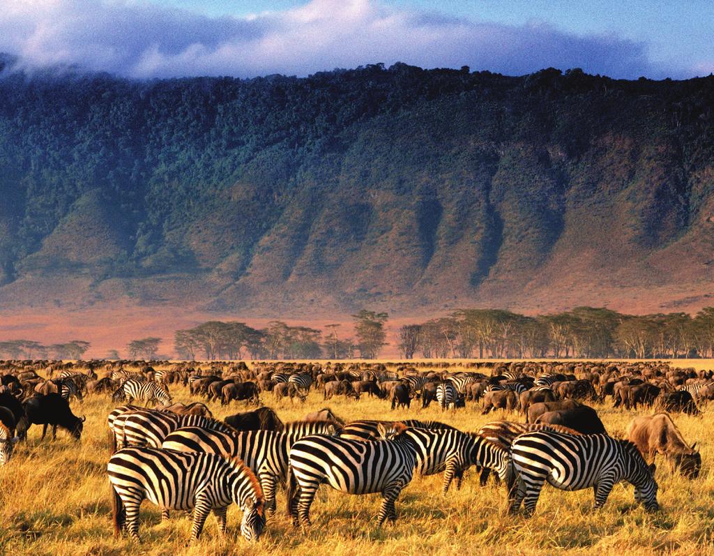 Exclusive U-M Alumni Travel departure February 18-March 4, 2017 Tanzania Adventure Serengeti to Zanzibar 15 days for $7,143 total price from Detroit ($6,595 air, land & safari inclusive plus $548