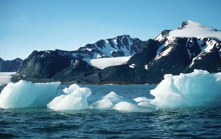 Calving glaciers in the summer in Arctic waters. Kongsfjord, Svalbard, Norway PHOTO: PETER PROKOSCH / WWF-CANON 2.