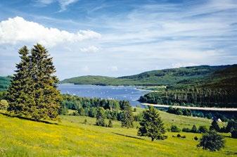 A delightful excursion in a modern coach Visit the Titisee lake in the heart of the Black Forest Short introduction to the art of making cuckoo clocks Free time to explore Enjoy a spot of shopping