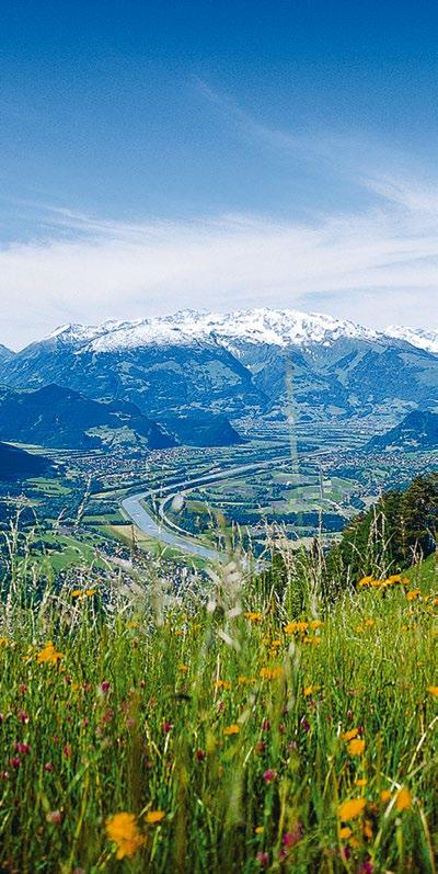 Short city tour of Zurich, taking in the main sights Drive along Lake Zurich with stunning views of the Alps Visit Rapperswil s medieval Old Town Walk to Rapperswil Castle, overlooking Lake Zurich