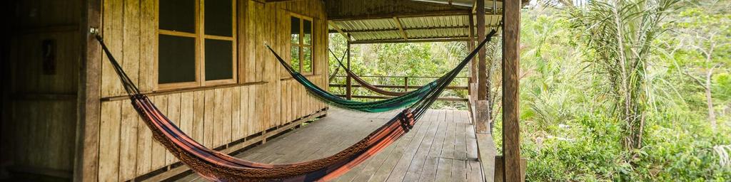 Lodging & Services The Tropical Tree Climbing Lodge is designed in wood, inspired by the traditional house in the Amazon and it s situated on 667 acres of natural rainforest within the environmental