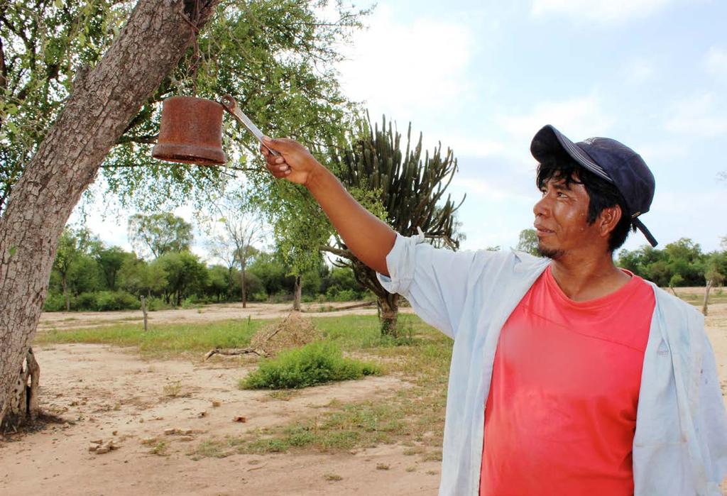 Ringing the bell Enrique Castillo, son of the Quenjacloi indigenous community