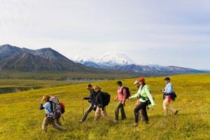The experience of staying at Camp Denali and North Face Lodge is a unique blend of camaraderie among fellow adventurers and active learning