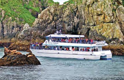 s Princess has a diverse group of tours, combining the best of land and sea, that lets you see Alaska your way.