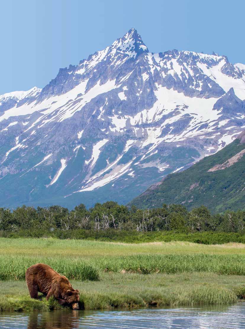 Truly wild, Katmai National Park is more than just a destination, it s a life experience!