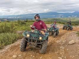 With the hinterland open to biking, off-roading and hiking, Denali National Park offers both active adventures and time in unspoiled