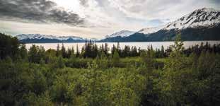 lovely mountain towns of Alyeska and Talkeetna. Experience Alaska s National Parks by land and sea with a breathtaking cruise in Kenai Fjords National Park and a tour deep into Denali National Park.