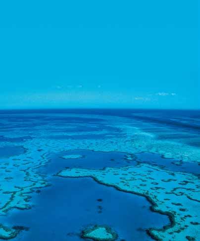BARRIER REEF DISCOVERY HIGHLIGHTS: Cairns region and the Whitsunday Islands 2018: 30 Mar, 6, 21 Apr, 18 May, 16, 29 Jun, 13, 14 Jul, 11, 18 Aug, 16, 21, 30 Sep, 6, 14, 26 Oct, 9, 16 Nov, 7 Dec 2019: