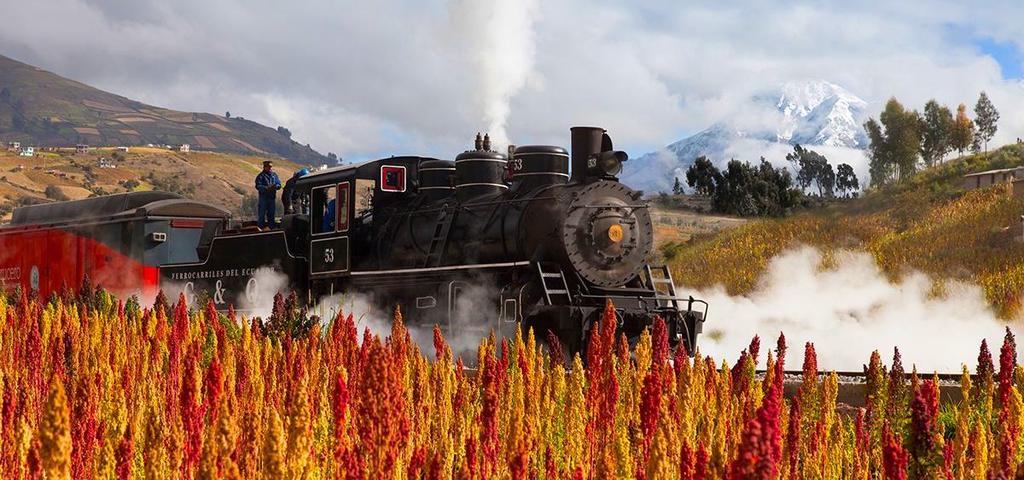 TRAIN OF WONDERS Quito Guayaquil 4 days 4 nights Tuesday to Friday Our journey begins in the northern Andes of Ecuador, in the valley of Otavalo, where we will discover traditional cultures,