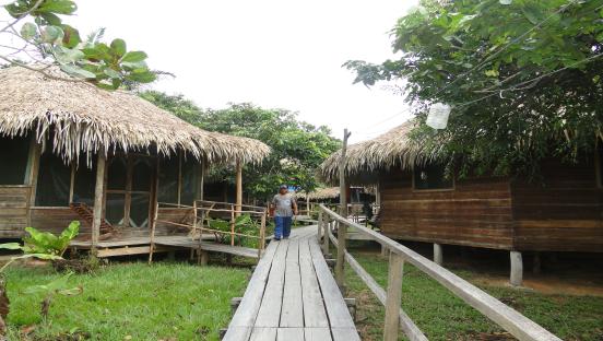 Backpacker jungle lodges are generally built with traditional materials including wood and palm fronds, and are modeled on native architecture.