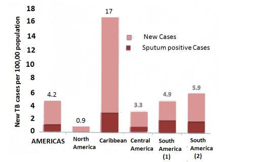 The Americas: Trends in Estimated TB Mortality, 1990-2011 TB Deaths per 100,000 population Source: Tuberculosis in the Americas: Regional Report 2012, PAHO/WHO Childhood TB Notification Rates (0-14
