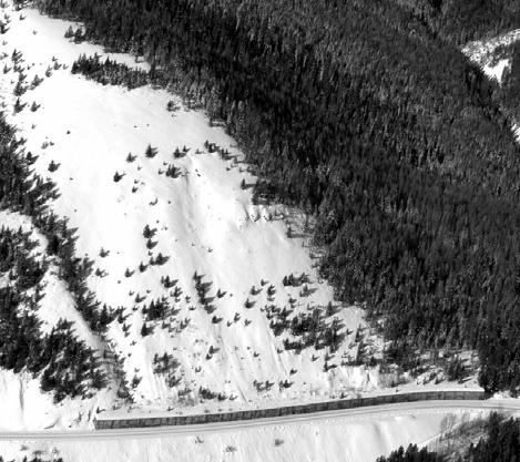 -, though there are a few places where sluffs can reach the railroad or highway. The largest avalanches are dry snow avalanches (Martinelli, 198).
