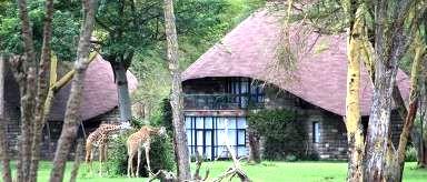 Primates & Savannahs Uganda & Kenya PACKAGE TYPE Honeymoon, adventure INCLUDES Game viewing activities as indicated above with English speaking driver guide in private 4x4 vehicles Park entrance fees
