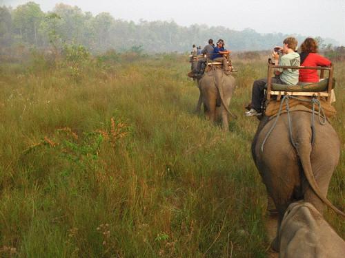 Day 10: Chitwan National Park Safari Meals: B,L,D Sapana Village Lodge This is a day never to be forgotten - a full day of safari action including wildlife viewing from elephant back, jungle walks,