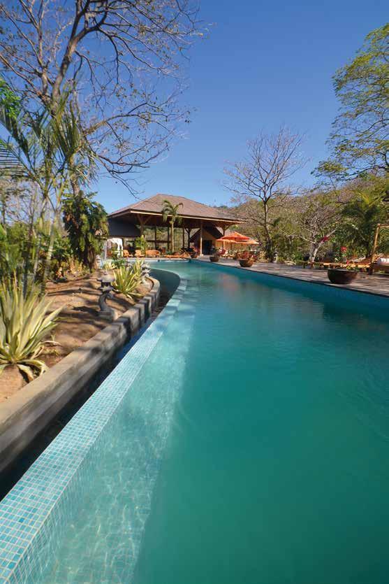 A 25 meter salt water lap pool, juice bar, and Spa, all with jungle and ocean views.