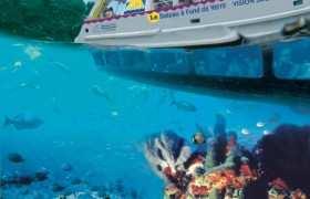 Optional excursions Northern Discovery Basse Terre Departure from the hotel.
