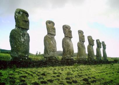 Walk along Ara O Te Moai, the trail once used to transport the moai sculptures; view numerous