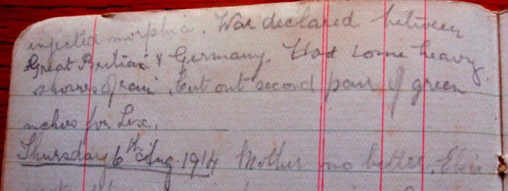 DIARY OF ELSIE CLEMENTS, FARMER'S WIFE, OF CROCKENHILL Elsie Clements' diary for 5 August 1914 She was worried about her mother's health at the time and the doctor had 'injected morphia'.