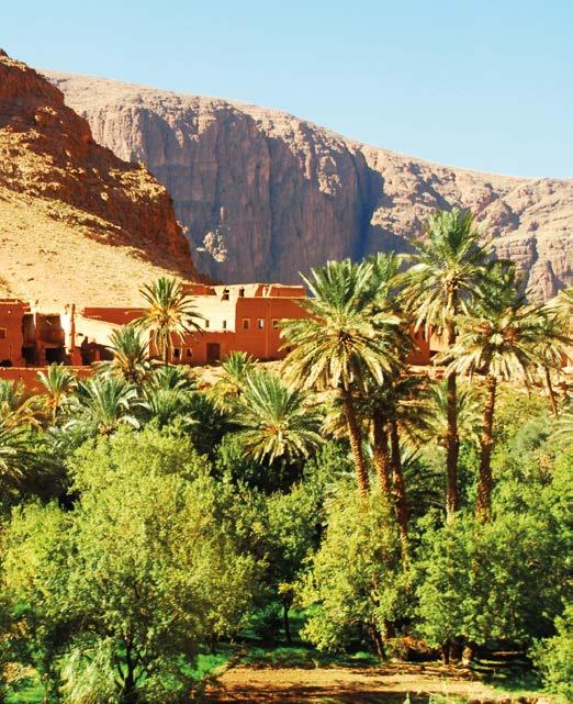 Continue along the route of the 1001 Kasbahs and scenically charming valley of Dades with its chain of Berber colonies and gardens of oases, as far as Ouarzazate. 6.