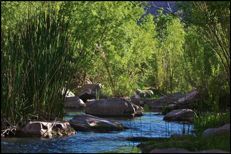 Executive Summary: Citizens Proposal for Upper Verde Wild and Scenic River 3 documented and substantiated.