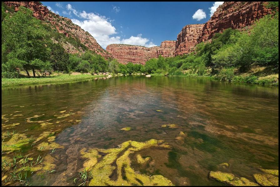 Executive Summary: Citizens Proposal for Upper Verde Wild and Scenic River 4 Nearly all of Arizona s rivers have been degraded by bank-side development, groundwater withdrawal, and surface water