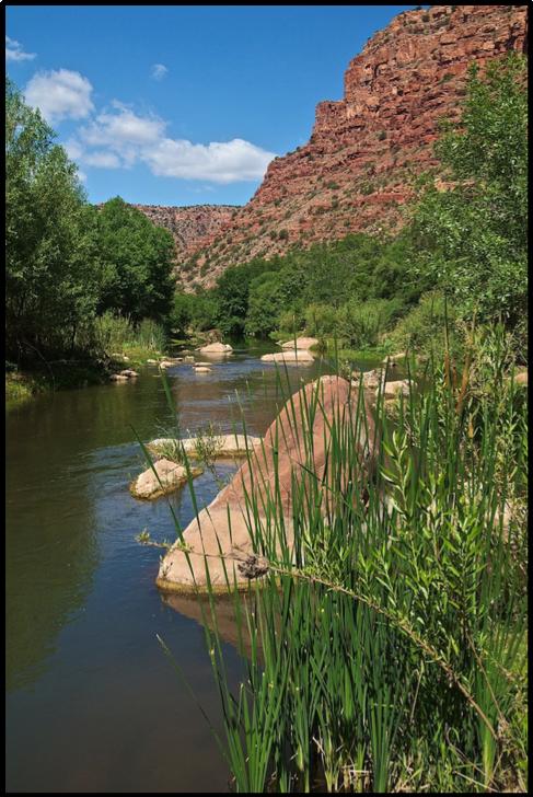 Executive Summary: Citizens Proposal for Upper Verde Wild and Scenic River 9 Proposed Classification: The Citizens Proposal for the Upper Verde Wild and Scenic River (UVWSR) documents the eligibility