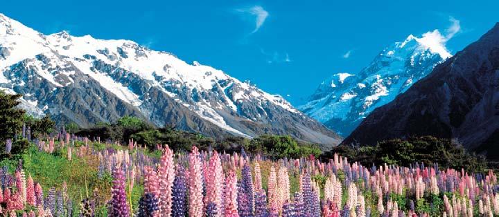 7 DAY ROYAL PANORAMA 4 DAY AUCKLAND Welcome to New Zealand! Transfer to your hotel. Overnight Stay: Langham Hotel.
