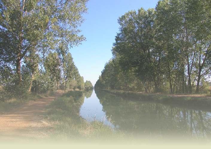 This bulletin has been developed for the last four years and Bit has been directed both to spread the need of conserving the Canal de Castilla and its wetlands and to promote its natural and cultural